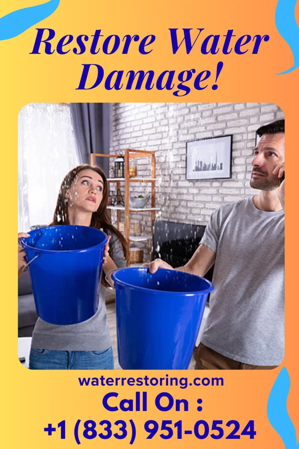 water restoration Lightning Water Restoration Masters Winchester