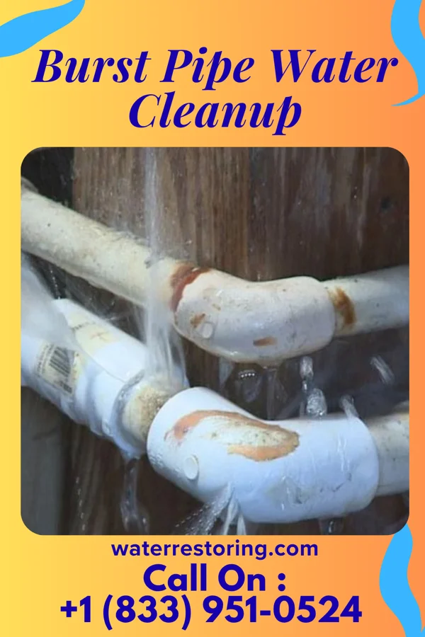 Burst Pipe Water Cleanup in Winchester, OH