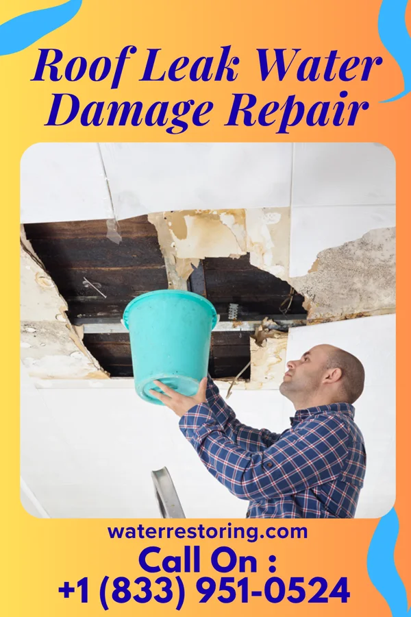 Roof Leak Water Damage Repair in Winchester, OH