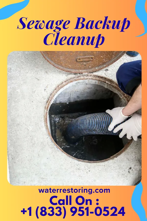 Sewage Backup Cleanup in Winchester, OH